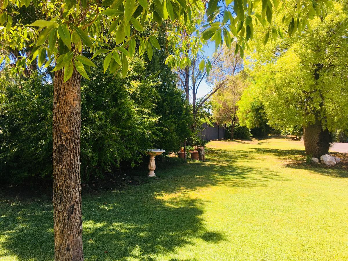 Balonne River Motor Inn Saint-George Extérieur photo
